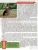 Импортировано из Wildberries Импортировано из Wildberries