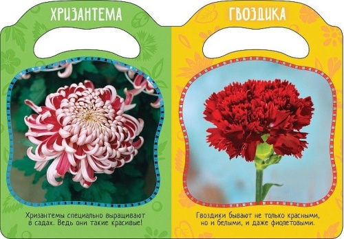 Вот так цветы! (МвЛ)- купить в магазине Кассандра, фото, 9785353083474, 