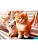 Пазл.160.Котята на рояле 33*23см, картонная упаковка 4,3*18,5*25,3см - купить в магазине Кассандра, фото, 4670419723959, 