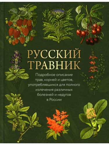 Русский травник- купить в магазине Кассандра, фото, 9785001858065, 