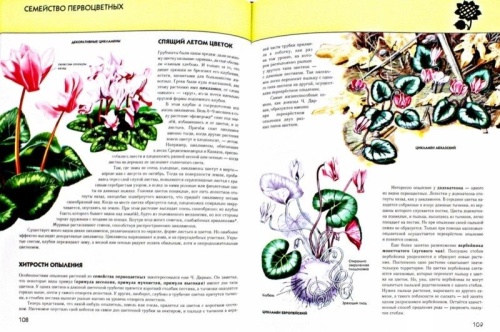 Полная энциклопедия.Растения- купить в магазине Кассандра, фото, 9785699886951, 