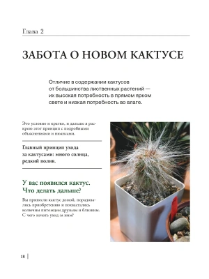 Фотография из отзыва покупателя