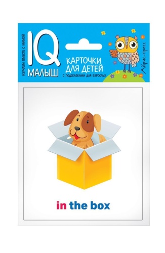 Умный малыш. ENGLISH. Предлоги. Набор карточек для детей- купить в магазине Кассандра, фото, 9785811266098, 