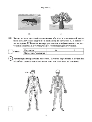 Импортировано из Wildberries