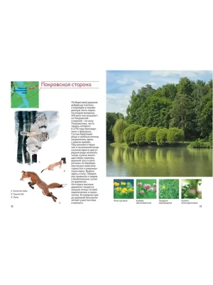 Импортировано из Wildberries