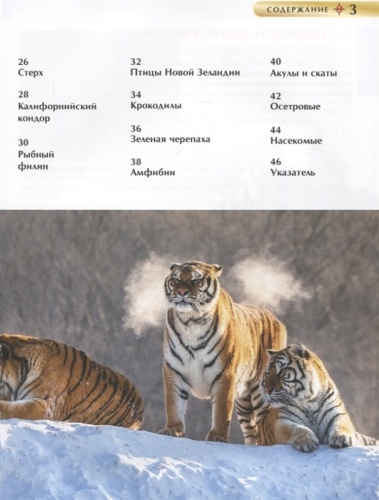 Красная книга. Детская энциклопедия- купить в магазине Кассандра, фото, 9785353102922, 