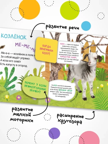 Книжки с окошками. Мамы и малыши- купить в магазине Кассандра, фото, 9785431526855, 