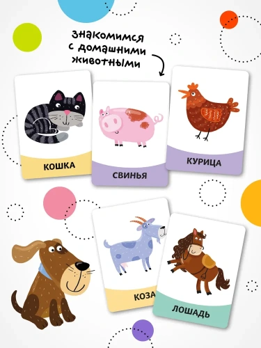 Развивающие карточки. Животные- купить в магазине Кассандра, фото, 9785431535437, 