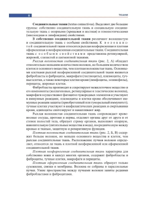 Фотография из отзыва покупателя