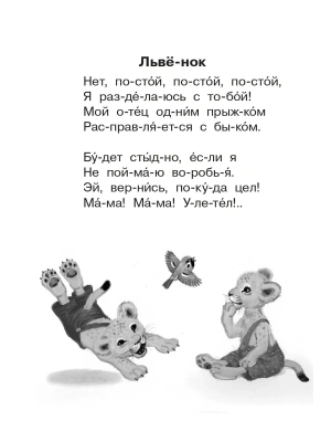 Фотография из отзыва покупателя