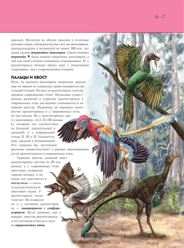 Полная энциклопедия.Птицы- купить в магазине Кассандра, фото, 9785699833405, 