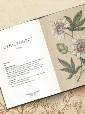 Фотография из отзыва покупателя