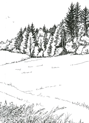 Бегущие по кромке леса- купить в магазине Кассандра, фото, 9785222422823, 