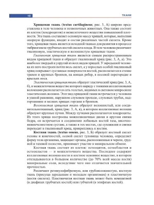 Фотография из отзыва покупателя