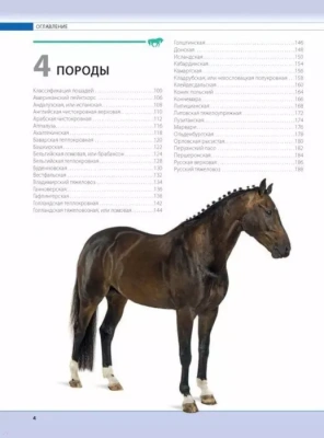 Лошади. Самая полная иллюстрированная энциклопедия- купить в магазине Кассандра, фото, 9785699880393, 