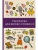 Импортировано из Wildberries Импортировано из Wildberries