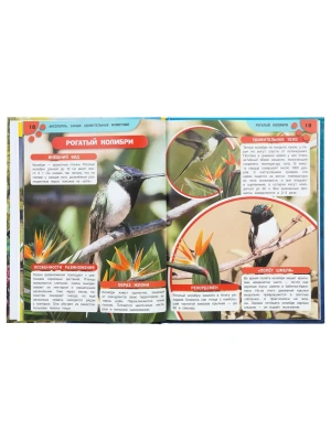 Импортировано из Wildberries