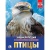 Энциклопедия.ПТИЦЫ- купить в магазине Кассандра, 9785506022848, Энциклопедия.ПТИЦЫ- купить в магазине Кассандра, фото, 9785506022848,