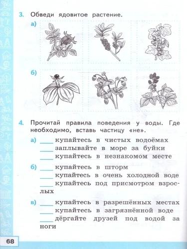Тренажер по окружающему миру. 2 класс асс. Плешаков. ФГОС НОВЫЙ (к новому учебнику)- купить в магазине Кассандра, фото, 9785377197720, 