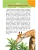 Импортировано из Wildberries Импортировано из Wildberries