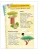 Импортировано из Wildberries Импортировано из Wildberries