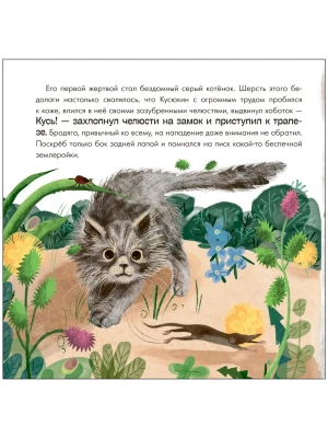 Импортировано из Wildberries