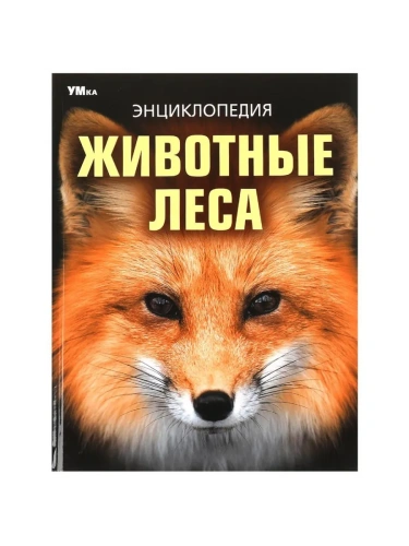 Животные леса. Энциклопедия. 197х255 мм. 7БЦ. 48 стр. Умка в кор.15шт- купить в магазине Кассандра, фото, 9785506091080, 