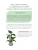 Импортировано из Wildberries Импортировано из Wildberries