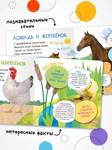 Книжки с окошками. Мамы и малыши- купить в магазине Кассандра, фото, 9785431526855, 