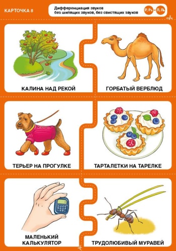 �������� �����. ������ ���������! �-�  �-��  �-��  ��-�- ������ � �������� ���������, ����, 9785996350247, 