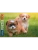 Импортировано из Wildberries Импортировано из Wildberries
