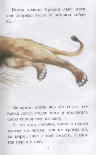 Филипок. Рассказы. Басни- купить в магазине Кассандра, фото, 9785171340063, 