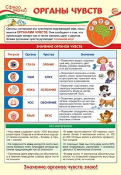 Плакат А3. Окружающий мир в начальной школе. Органы чувств - купить в магазине Кассандра, фото, 4630112014495, 