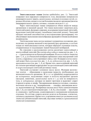 Фотография из отзыва покупателя