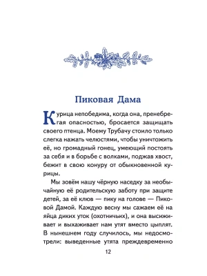 Импортировано из Wildberries