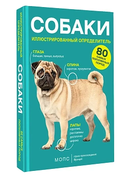 Собаки. 80 самых популярных пород. Иллюстрированный определитель - купить в магазине Кассандра, фото, , 