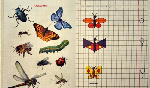 Геометрия вокруг нас. Рисование по клеточкам для детей 5?7 лет- купить в магазине Кассандра, фото, 9785994910351, 