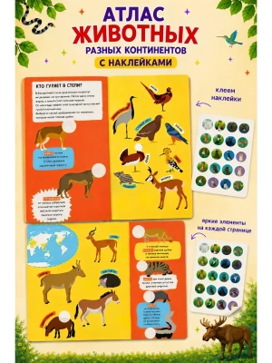 Импортировано из Wildberries