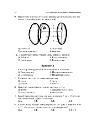 Импортировано из Wildberries