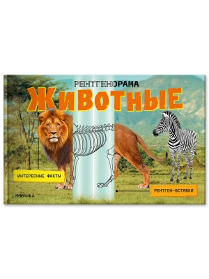 Рентгенорама. Животные- купить в магазине Кассандра, фото, 9785431546853, 