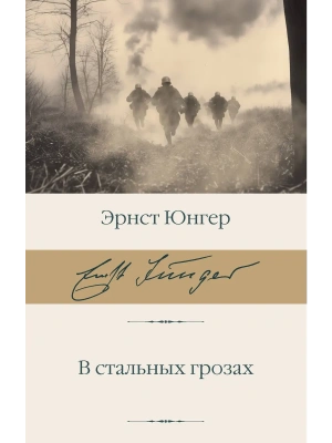 В стальных грозах- купить в магазине Кассандра, фото, 9785171633868, 