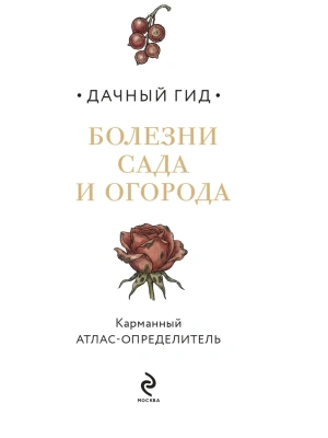 Фотография из отзыва покупателя