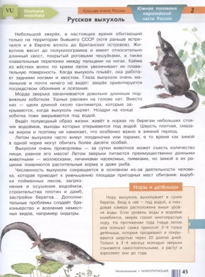 Красная книга России- купить в магазине Кассандра, фото, 9785171551285, 