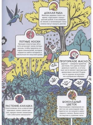Импортировано из Wildberries