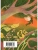 Импортировано из Wildberries Импортировано из Wildberries