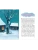 Импортировано из Wildberries Импортировано из Wildberries