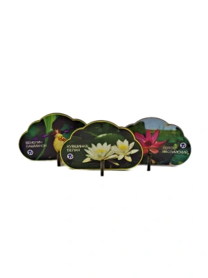 Импортировано из Wildberries
