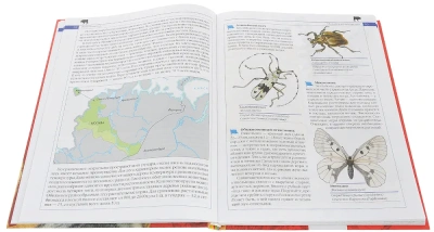 Красная книга России. Животные- купить в магазине Кассандра, фото, 9785353075394, 