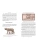 Импортировано из Wildberries Импортировано из Wildberries