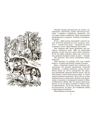 Импортировано из Wildberries